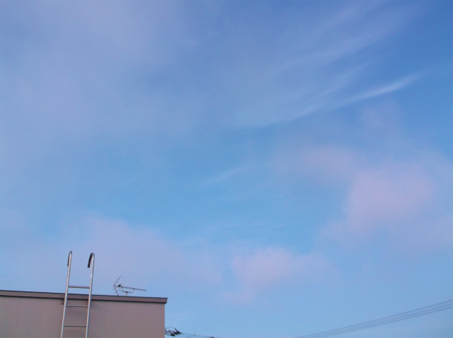 c0006745_03464125.jpg