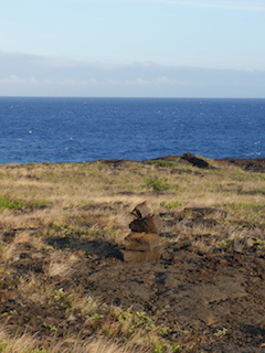e0138350_20100769.jpg