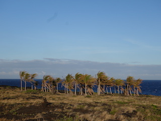 e0138350_20100775.jpg