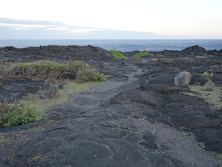 e0138350_20102429.jpg