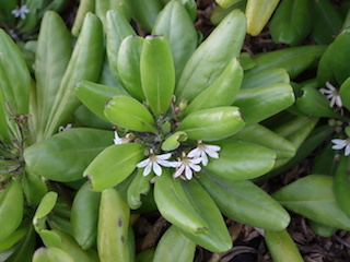 e0138350_20104261.jpg