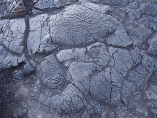 e0138350_20104262.jpg