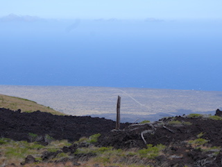 e0138350_20163428.jpg