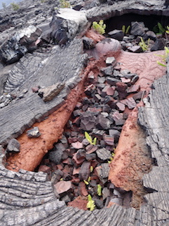 e0138350_20181447.jpg