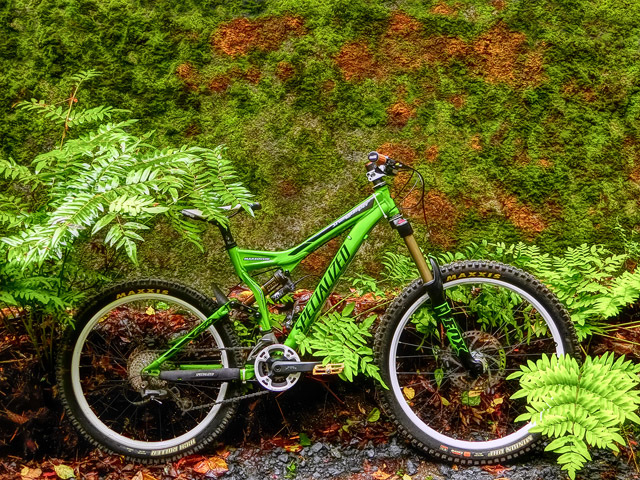 SPECIALIZED Stumpjumper FSR XXVII_b0049658_12024018.jpg