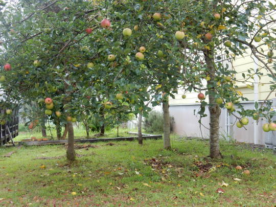 f0060461_18342388.jpg