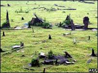 怪異にうす(2006/4/29~9/12)「鳥か?飛行機か?」〜「お化けの木に顔」_b0116271_13064691.jpg
