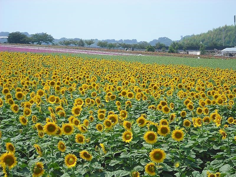 d0258976_09264369.jpg