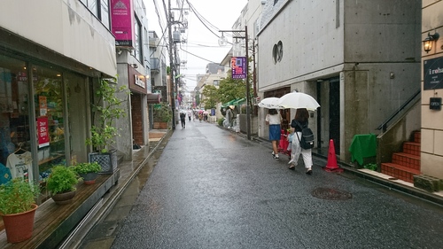 「16日連続雨」_a0075684_1622594.jpg