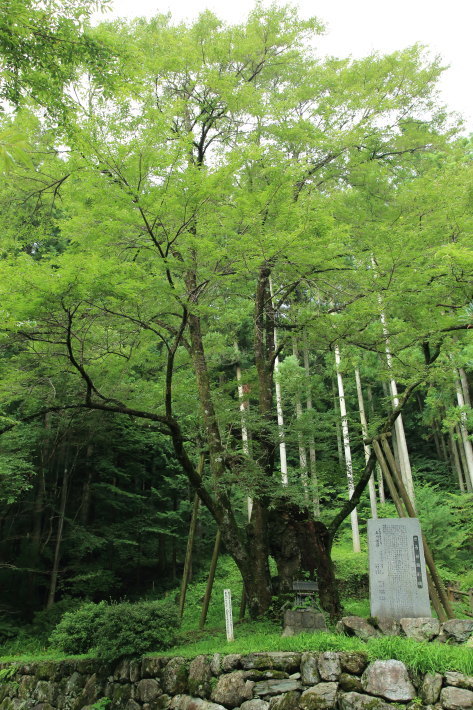 c0358784_18451338.jpg