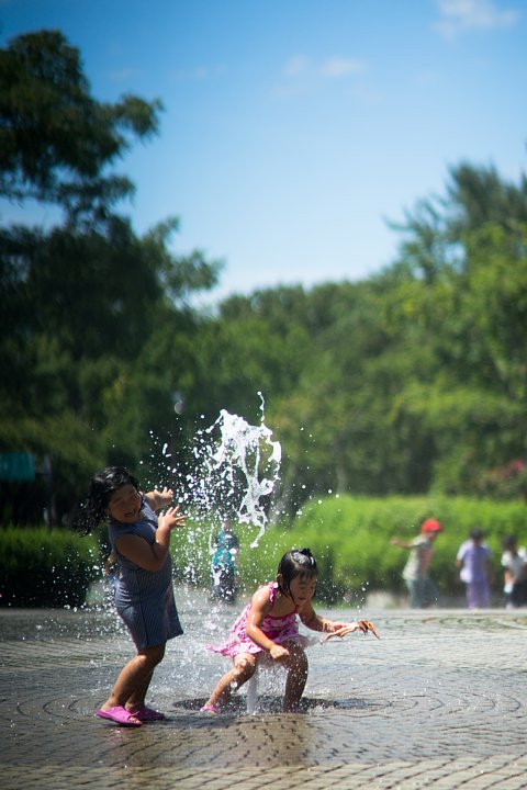 真夏の緑地公園にて_d0353489_1623116.jpg