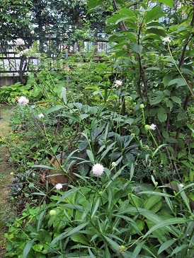 c0117898_21480100.jpg
