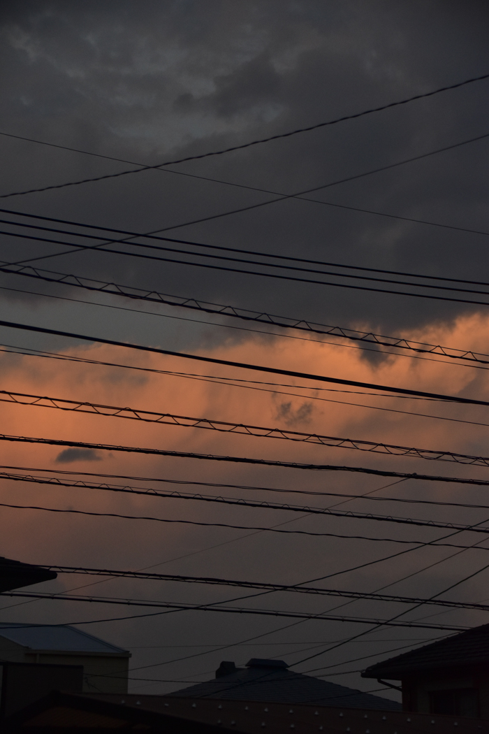 c0049299_22444844.jpg