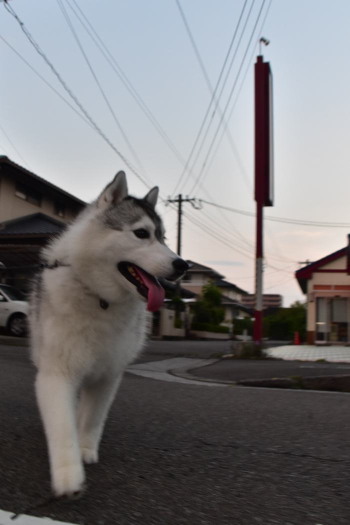 c0049299_22453449.jpg
