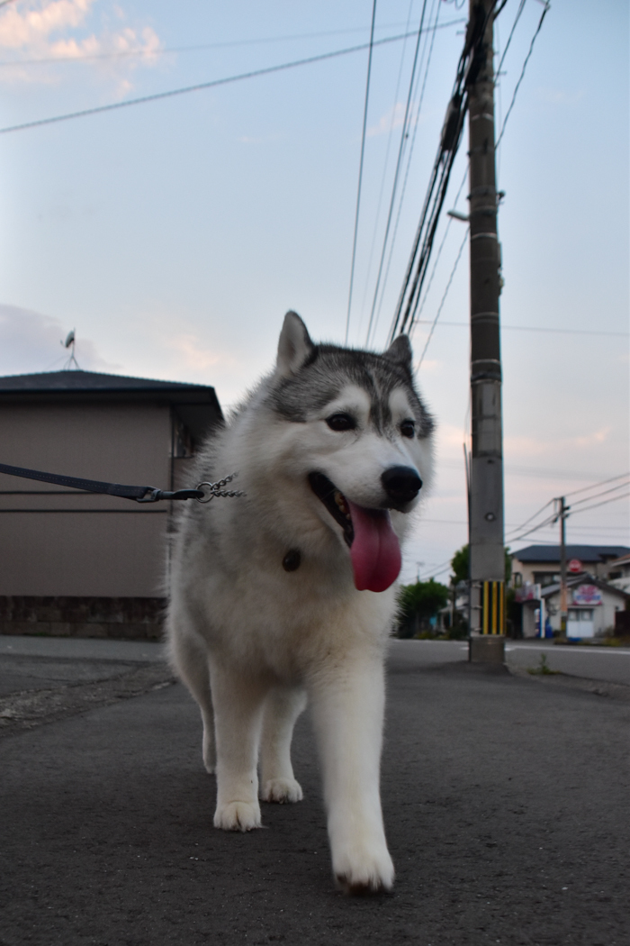 c0049299_22455359.jpg