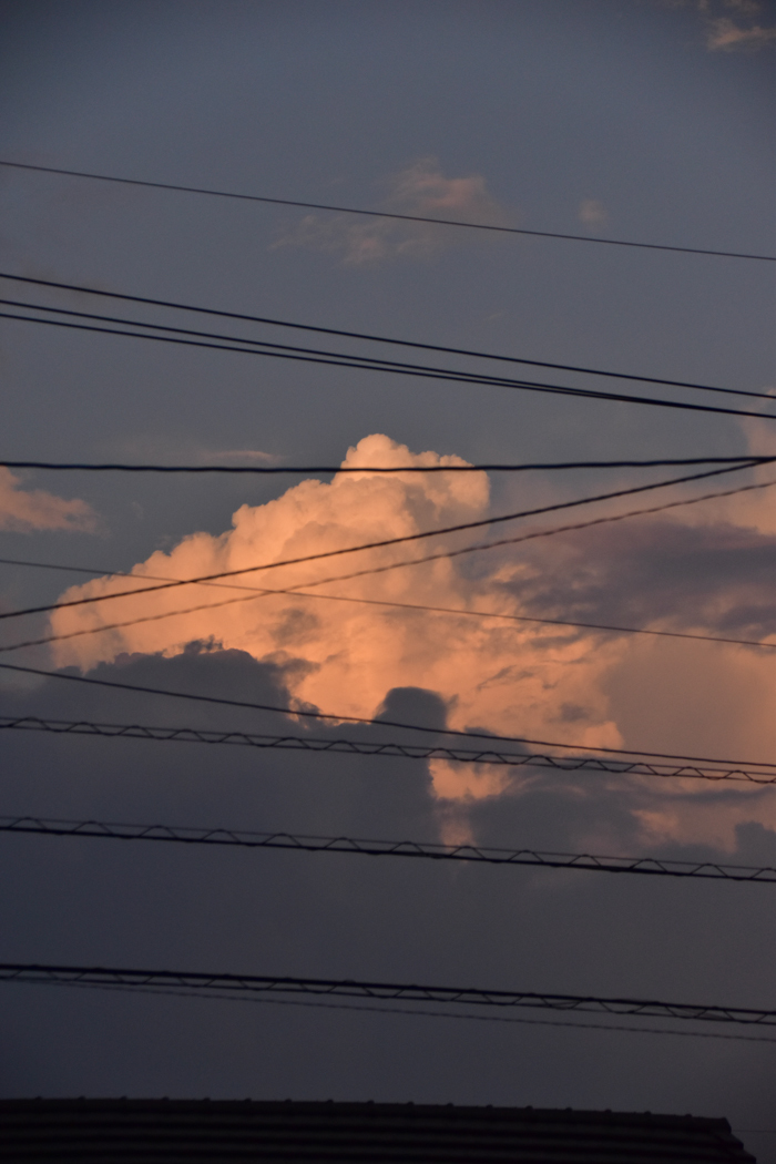 c0049299_22573984.jpg