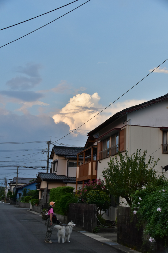 c0049299_23030164.jpg