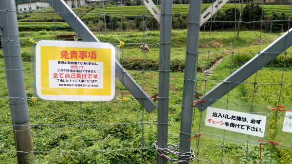 c0266004_18100533.jpg