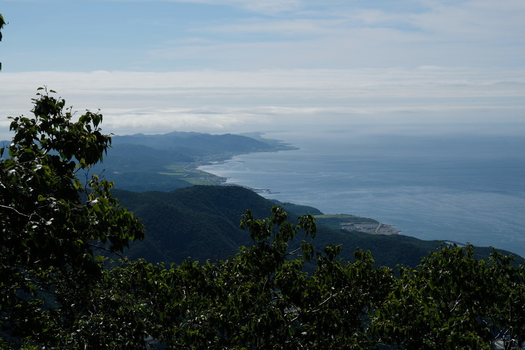 d0051707_20405720.jpg