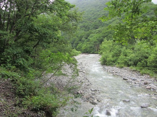 a0363221_18554991.jpg