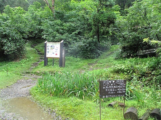 中部山岳　残雪と花の山　Day1　蓮華温泉から白馬大池　　　　　Lake Shirouma in Chūbu-Sangaku NP_f0308721_122180.jpg