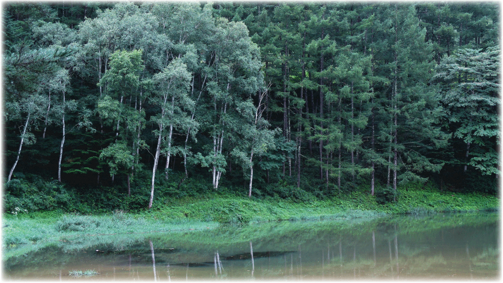 c0107829_17023707.gif