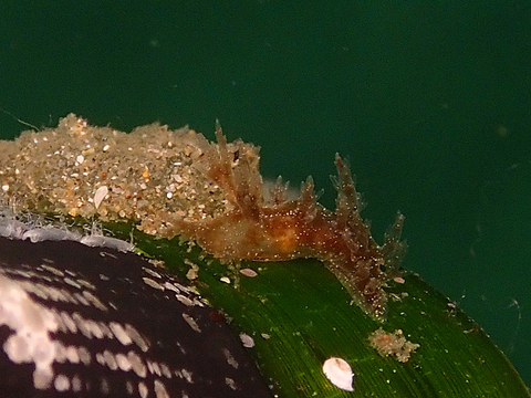 c0193735_1291786.jpg