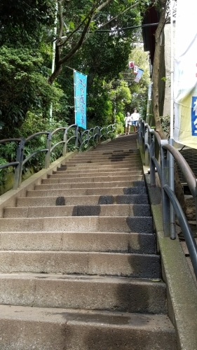 a0161036_22011700.jpg