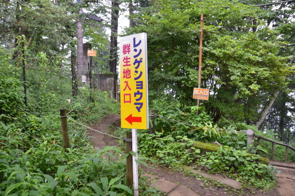 d0320746_15184296.jpg