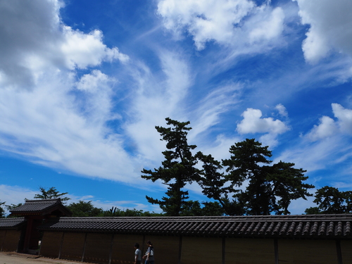 お盆の過ごし方_c0217266_952452.jpg
