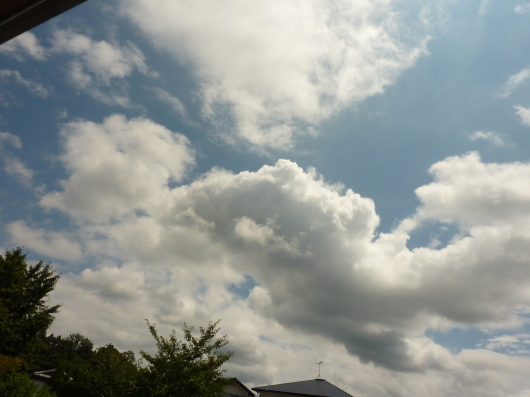 d0362666_12214422.jpg