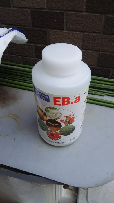 EB-a 散布_e0094270_22304647.jpg