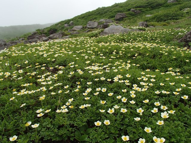 a0344771_20480999.jpg