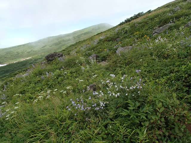 a0344771_20525706.jpg