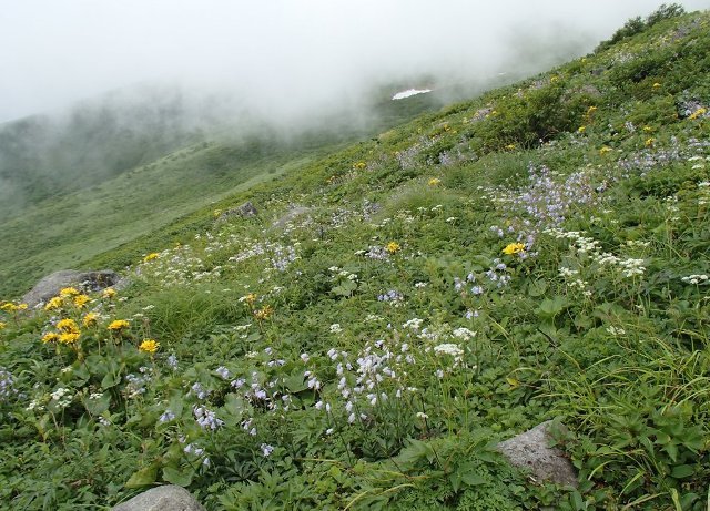 a0344771_20555303.jpg