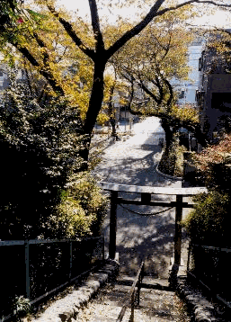 1998/11:立川(途中)〜富士塚公園(修正・アルバム追記)_b0116271_17240832.gif