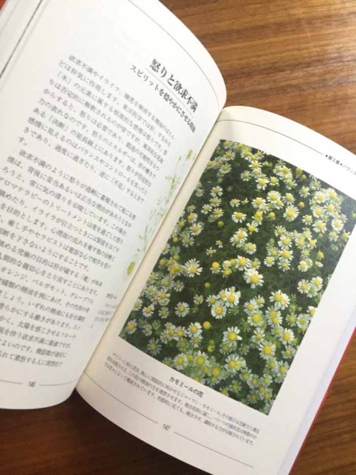 夏の図書室『スピリットとアロマテラピー―東洋医学の視点から、感情と精神のバランスをとり戻す』 : 海の古書店 夏の図書室『スピリットとアロマテラピー―東洋医学の視点から、感情と精神のバランスをとり戻す』 : 海の古書店