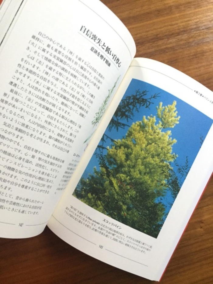 夏の図書室『スピリットとアロマテラピー―東洋医学の視点から、感情と精神のバランスをとり戻す』 : 海の古書店 夏の図書室『スピリットとアロマテラピー―東洋医学の視点から、感情と精神のバランスをとり戻す』 : 海の古書店