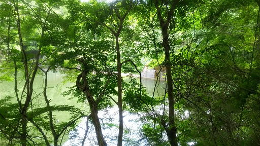 e0020682_19171010.jpg