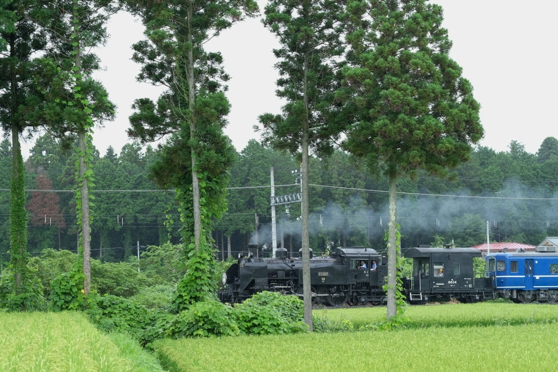 東武鬼怒川線SL「大樹」＜７＞　２０１７・０８・１３_e0143883_05363996.jpg