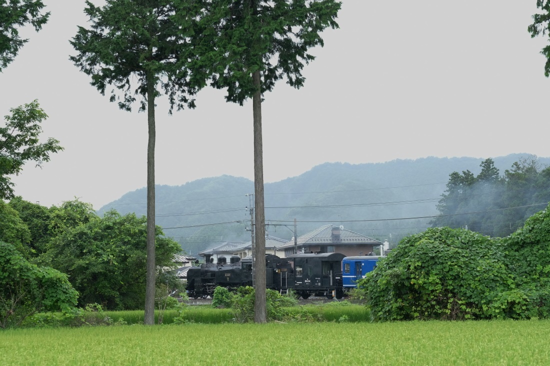 東武鬼怒川線SL「大樹」＜７＞　２０１７・０８・１３_e0143883_05404571.jpg