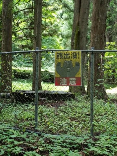 d0226286_18261283.jpg