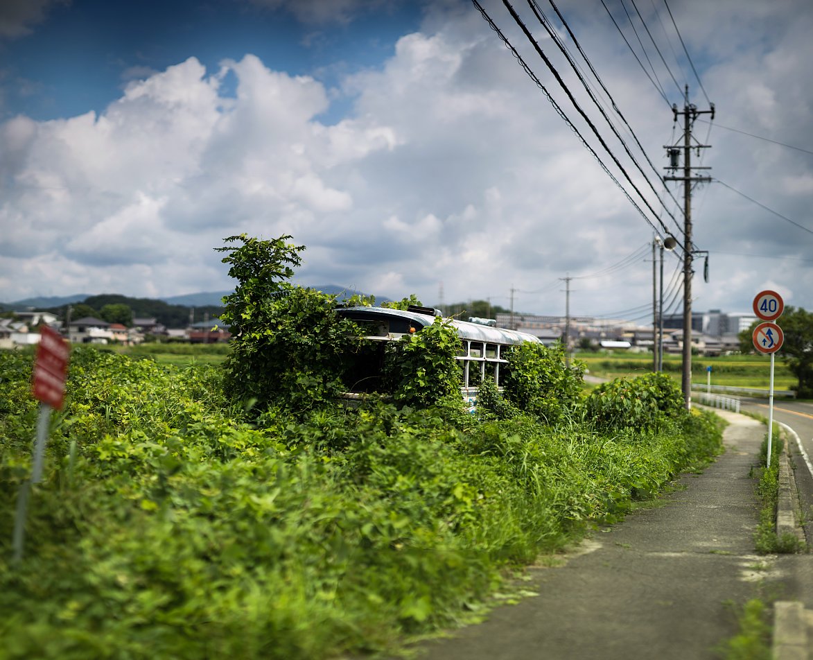 盛夏の廃バス_d0353489_21162333.jpg