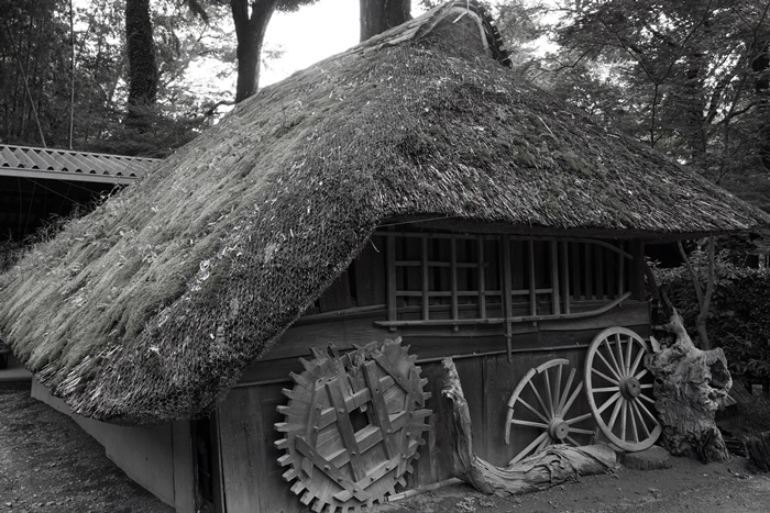 これまた久々の平林寺_c0187503_162561.jpg