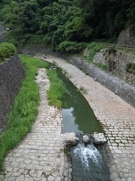 f0197703_16293885.jpg