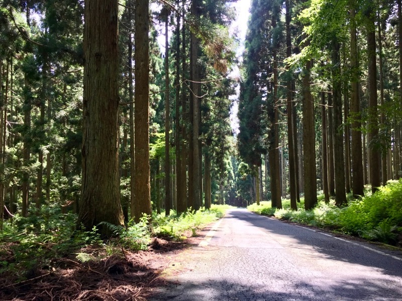 山崎町土万・一宮町伊知・波賀町斉木・千種町鷹巣・佐用町下三河_a0035404_10050608.jpg