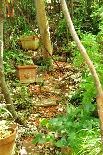 f0188408_11452539.jpg