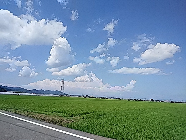 西条市西条運動公園総合プール…2017/8/18_f0231709_23131328.jpg