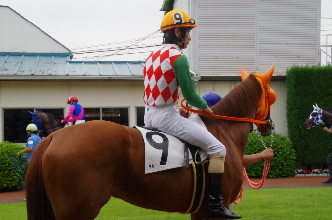 サウザンアイランド 12戦目＠浦和競馬場 4R 2017.8.18_f0365120_19032989.jpg