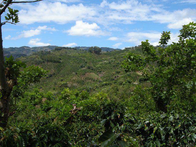 b0136223_16461621.jpg